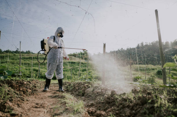 Professional Pest Control in Mountainhome, PA