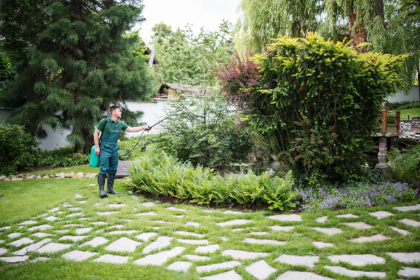 Best Emergency Pest Control  in Mountainhome, PA