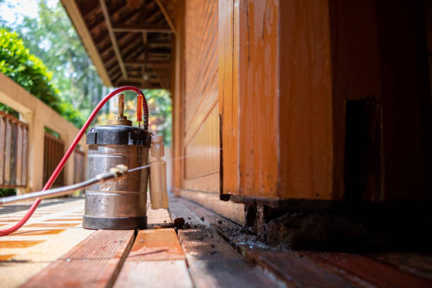 Professional Pest Control in Mountainhome, PA