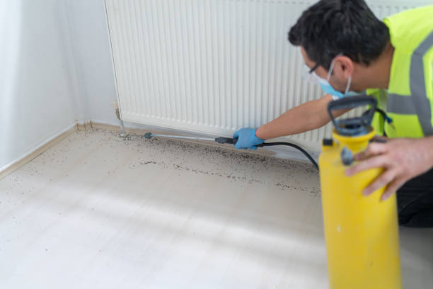 Best Best Pest Control Companies  in Mountainhome, PA